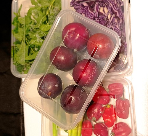 650ml containers with - containers,